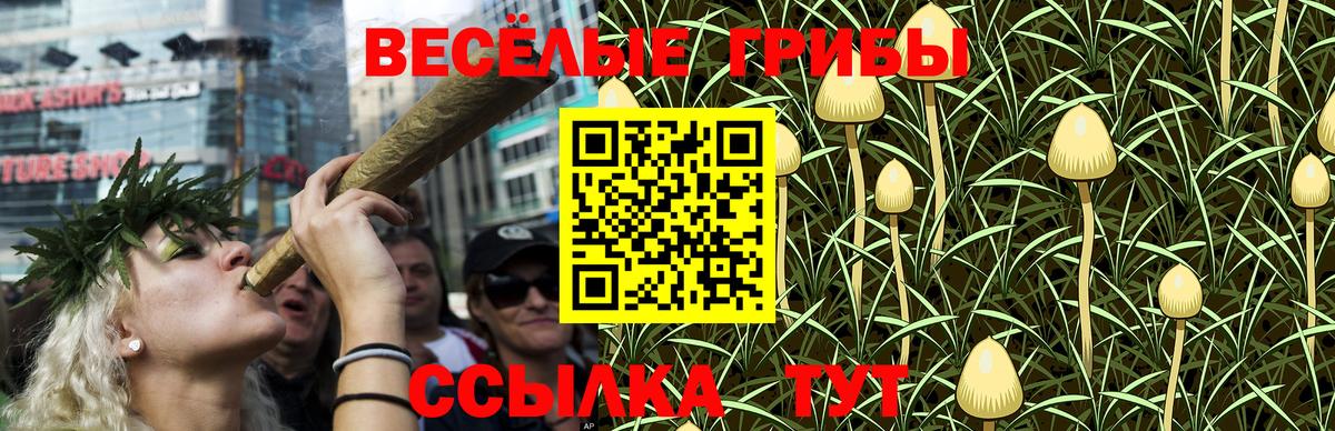 Галлюциногенные грибы Cubensis  Псилоцибиновые грибы GOLDEN TEACHER  Вход с VPN  Люберцы 