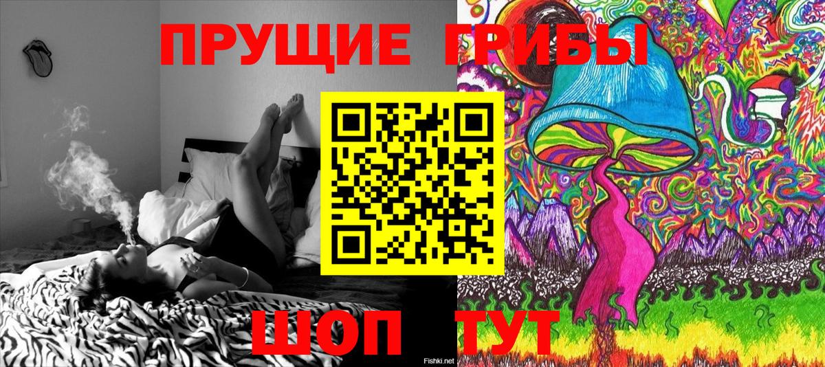 Псилоцибиновые грибы мицелий Люберцы